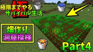 【マインクラフト】極限までやり続けるマイクラサバイバル生活Part4