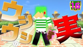 【マインクラフト】とんでもないバグが...!?ゾオン最強がヤバすぎるｗバトルクラフト#16【ワンピースMOD】