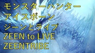 【参加自由】ランク上げお手伝いします【モンハンワールド】
