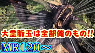 大霊脈玉は俺のもの【モンハンワールド：アイスボーン】