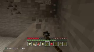 ps4版マインクラフト参加型？