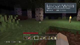 初心者マインクラフト＊