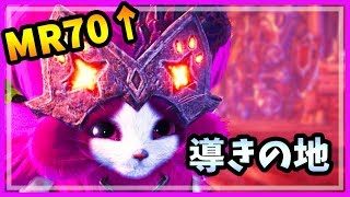 【MHWI】MRが100突破！【PS4実況】モンハンワールド:アイスボーン #10
