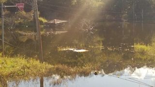 マインクラフト垂れ流し配信　＜マイクラ＞　配信♪　初見さん大歓迎！