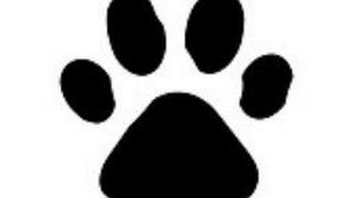 ＃マインクラフト　　配信　　所見さん大歓迎