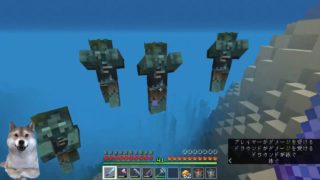 海底神殿探したいマインクラフト【Minecraft:PC版】