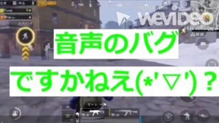 【PUBGモバイル】やまこ先生と音量調節編【実況】