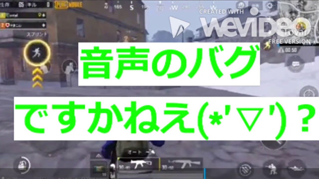 【PUBGモバイル】やまこ先生と音量調節編【実況】