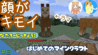 #６【なたろー実況】はじめてのマインクラフト【編集版】