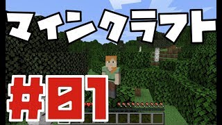 [#01] マインクラフトおおおおおおおおお