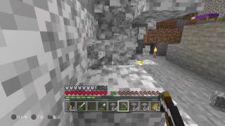 ［minecraft] 久しぶりのマインクラフト PS4　＃2