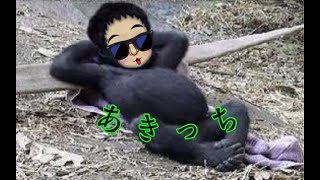 モンスターハンターワールドアイスボーン♪　こんにちは配信♪