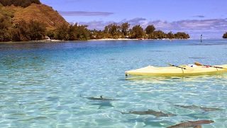 【スプラトゥーン２】 9/15 日課のガチマッチ[X] [S+]  リグマの相手も募集中