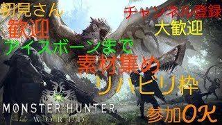 PS4Pro版 モンスターハンターワールド  ＃29　参加OK　ベータテストでハンマーの楽しさを覚えた者　コメントもご自由にどうぞ！