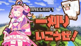 【マインクラフト】一刈りいこうぜ！【#小鳥遊めとろ #生とろ】