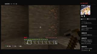 二人で少しだけマインクラフト