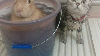 マインクラフト ＃17  24時間配信？上等だ！やってやんよww参加可能