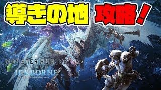 【MHWI】導きの地：瘴気地帯攻略！【モンスターハンターワールド：アイスボーン】