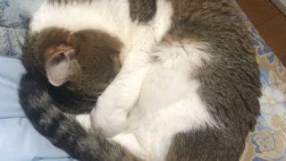 マインクラフト　最高に苦行