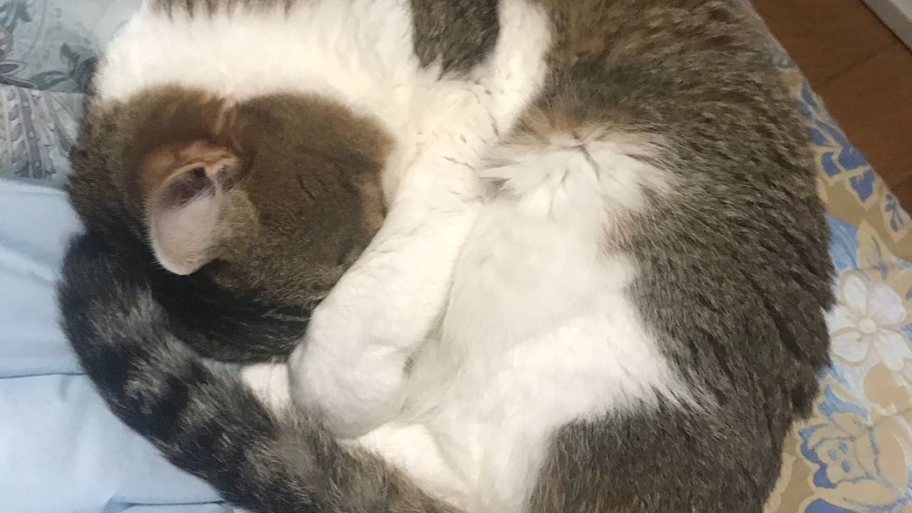 マインクラフト　最高に苦行