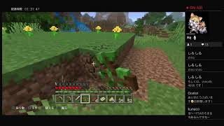 今日はマインクラフト！二回目！