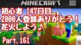 【マイクラ】初心者147日目 花火大会したいのです！Part.161【マインクラフト】【LIVE】