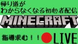 【マインクラフト】ちゃんりお被害者の会 壁紙世界地図拡張/ネザー殴り込み 編【初見さん応援コメ大歓迎♪】