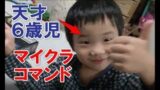 マインクラフトでコマンド。天才6歳児、ここに現る！