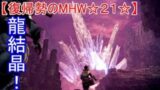 【MHW☆２１】ついに火山地帯に進出！【ヘビィボウガン】【モンスターハンターワールド】