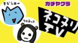 【スプラトゥーン2】「キジシローの悲鳴！ クマネッコの野生！」ペアリグマのガチヤグラです